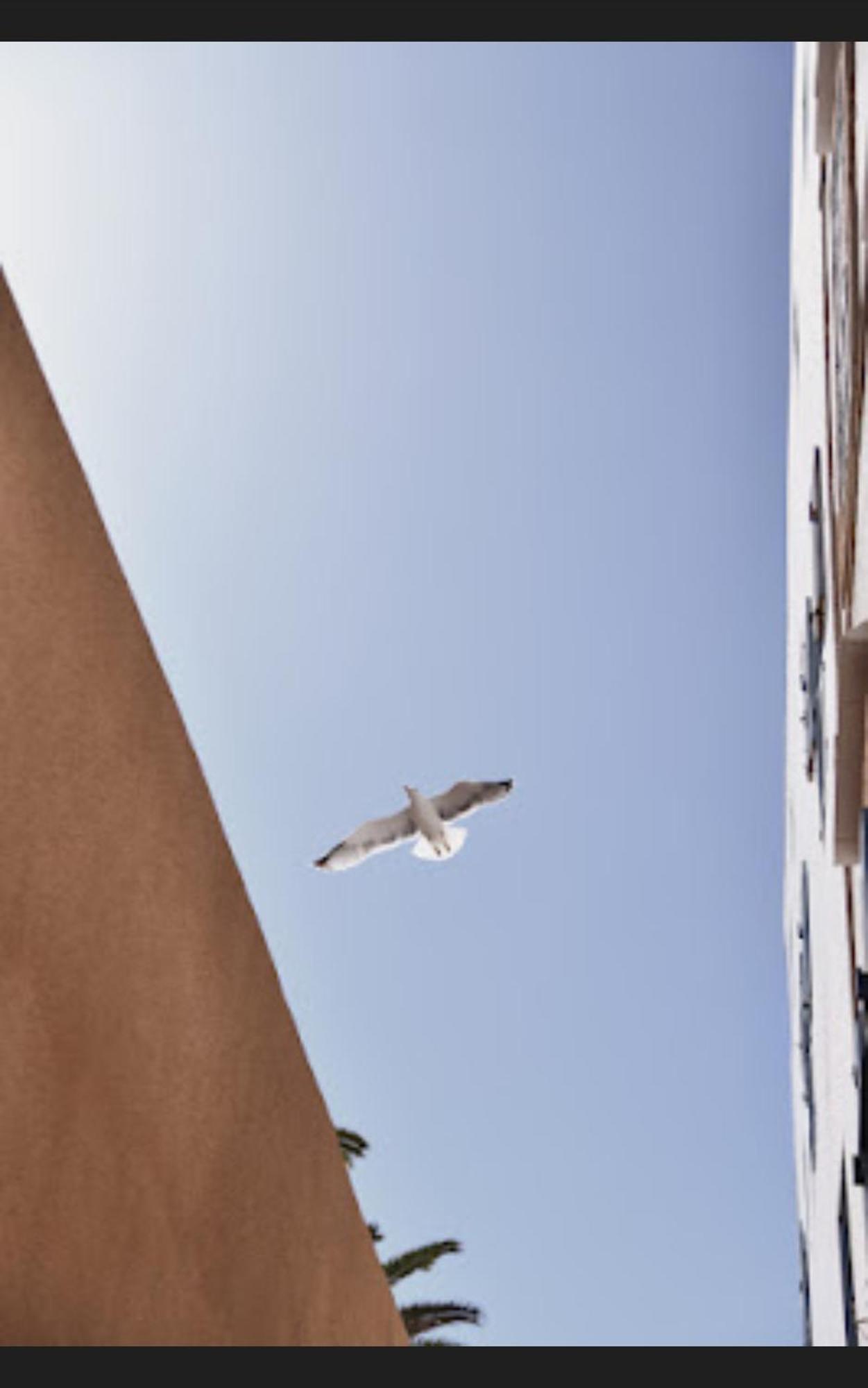 Appartement Loft Incroyable En Medina à Essaouira Extérieur photo